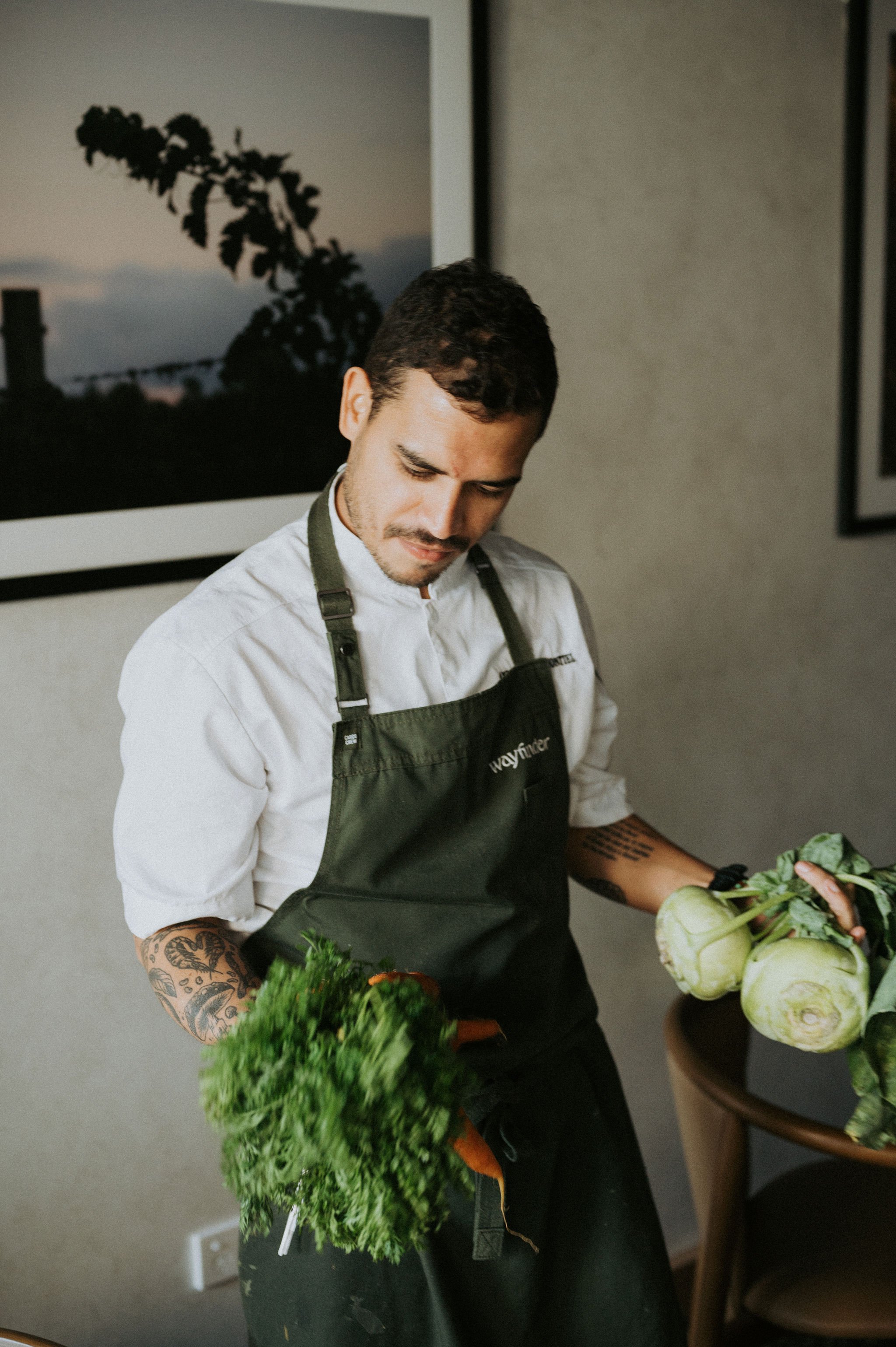 Harvest at the Overstory vineyard